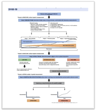 Propuesta conceptual sobre el uso de la Tnc en COVID-19.