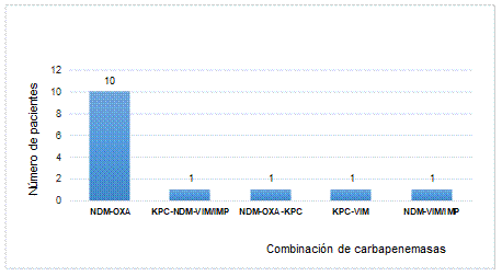 Distribución de la combinación de carbapenemasas en los 14 pacientes colonizados con más de un tipo de enzima durante los meses de la vigilancia.