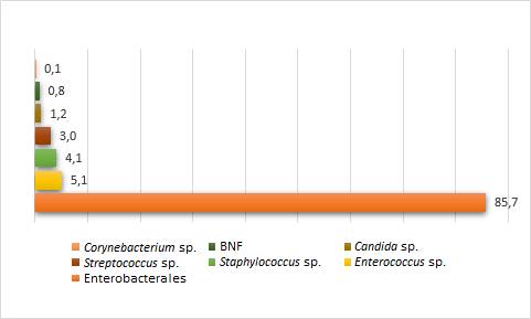 Microorganismos aislados de urocultivos positivos de adultos de la comunidad: distribución por grupos, en orden de frecuencia