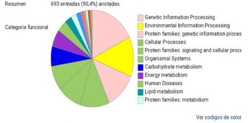 Categorización funcional mediante BlastKOALA